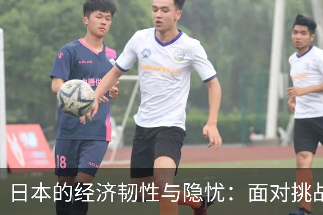 日本的经济韧性与隐忧：面对挑战的深思熟虑